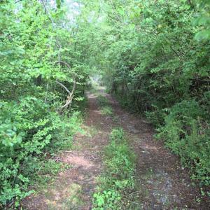 Photo #9 of Off Howard Avenue Extension, Tarboro, NC 32.0 acres