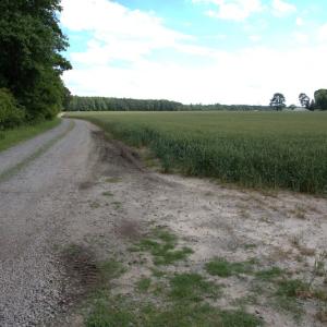 Photo #14 of Off Howard Avenue Extension, Tarboro, NC 32.0 acres