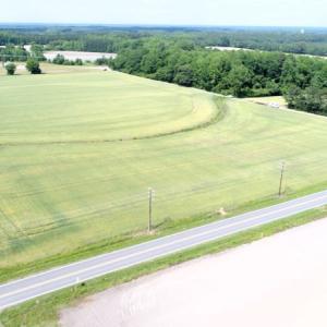 Photo #3 of Off Howard Avenue Extension, Tarboro, NC 32.0 acres