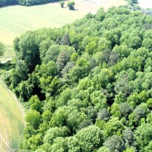 Photo #5 of Off Howard Avenue Extension, Tarboro, NC 32.0 acres