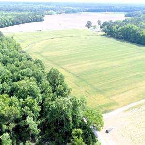 Photo #6 of Off Howard Avenue Extension, Tarboro, NC 32.0 acres