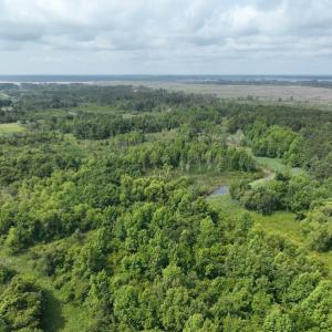 Photo #7 of Off Waterlily Road, Coinjock, NC 122.7 acres