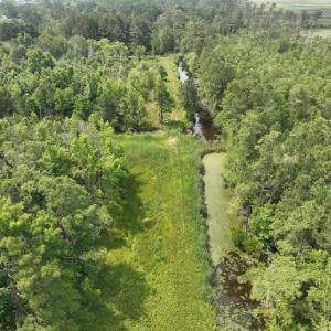 Photo #9 of Off Waterlily Road, Coinjock, NC 122.7 acres