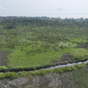 Photo #19 of Off Waterlily Road, Coinjock, NC 122.7 acres