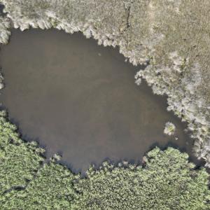 Photo #17 of Off Waterlily Road, Coinjock, NC 122.7 acres