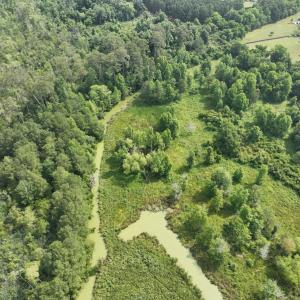 Photo #25 of Off Waterlily Road, Coinjock, NC 122.7 acres
