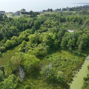 Photo #26 of Off Waterlily Road, Coinjock, NC 122.7 acres