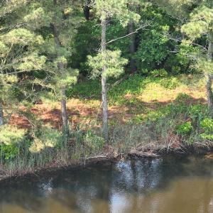 Photo #27 of Off Waterlily Road, Coinjock, NC 122.7 acres