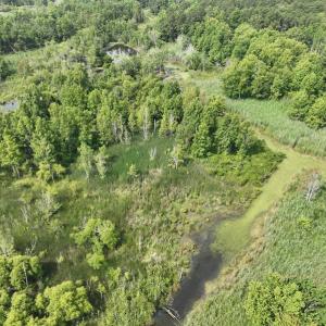 Photo #30 of Off Waterlily Road, Coinjock, NC 122.7 acres