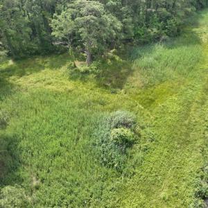 Photo #36 of Off Waterlily Road, Coinjock, NC 122.7 acres