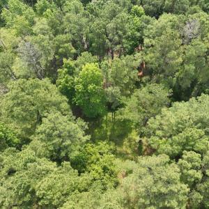 Photo #37 of Off Waterlily Road, Coinjock, NC 122.7 acres