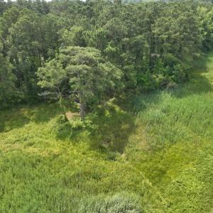 Photo #38 of Off Waterlily Road, Coinjock, NC 122.7 acres