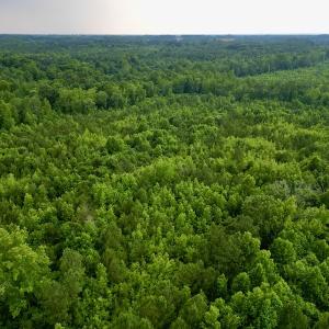 Photo #2 of SOLD property in Off Burchette Road, Manson, NC 12.7 acres