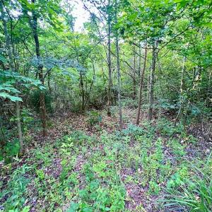 Photo #11 of SOLD property in Off Burchette Road, Manson, NC 12.7 acres
