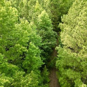 Photo #18 of SOLD property in Off Burchette Road, Manson, NC 12.7 acres