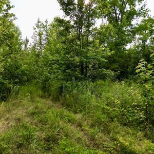 Photo #19 of SOLD property in Off Burchette Road, Manson, NC 12.7 acres