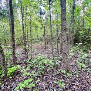 Photo #22 of SOLD property in Off Burchette Road, Manson, NC 12.7 acres