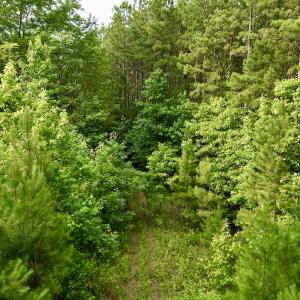 Photo #24 of SOLD property in Off Burchette Road, Manson, NC 12.7 acres