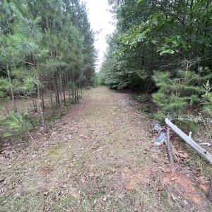 Photo #26 of SOLD property in Off Burchette Road, Manson, NC 12.7 acres
