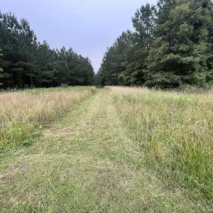 Photo #27 of SOLD property in Off Burchette Road, Manson, NC 12.7 acres