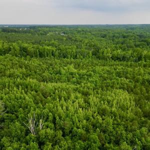Photo #3 of SOLD property in Off Burchette Road, Manson, NC 12.7 acres
