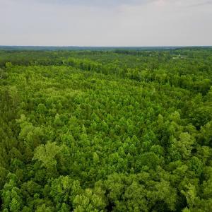 Photo #4 of SOLD property in Off Burchette Road, Manson, NC 12.7 acres