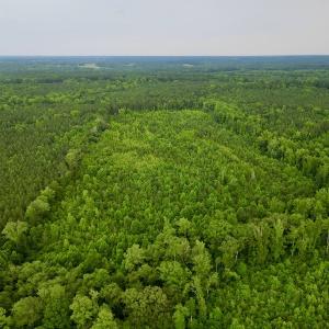 Photo #5 of SOLD property in Off Burchette Road, Manson, NC 12.7 acres