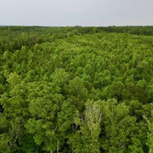 Photo #6 of SOLD property in Off Burchette Road, Manson, NC 12.7 acres