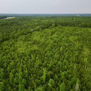 Photo #7 of SOLD property in Off Burchette Road, Manson, NC 12.7 acres