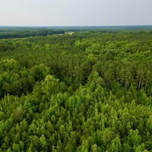 Photo #9 of SOLD property in Off Burchette Road, Manson, NC 12.7 acres