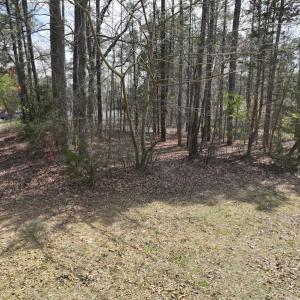 Photo #5 of SOLD property in 116, 118 & 120 Navajo Trail, Edenton, NC 0.4 acres