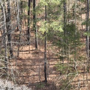 Photo #22 of SOLD property in 116, 118 & 120 Navajo Trail, Edenton, NC 0.4 acres