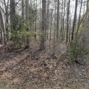 Photo #26 of SOLD property in 116, 118 & 120 Navajo Trail, Edenton, NC 0.4 acres