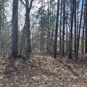 Photo #30 of SOLD property in 116, 118 & 120 Navajo Trail, Edenton, NC 0.4 acres