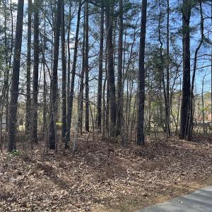 Photo #31 of SOLD property in 116, 118 & 120 Navajo Trail, Edenton, NC 0.4 acres