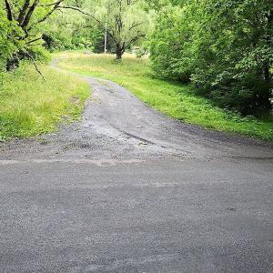 Photo #5 of SOLD property in 715 White Rock Gap Rd, Covington, VA 43.4 acres