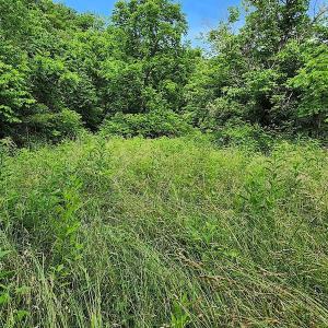 Photo #10 of SOLD property in 715 White Rock Gap Rd, Covington, VA 43.4 acres