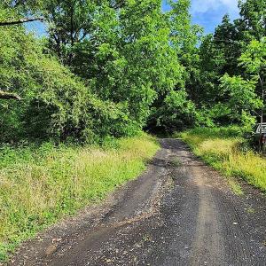Photo #7 of SOLD property in 715 White Rock Gap Rd, Covington, VA 43.4 acres