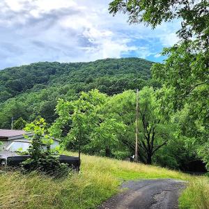 Photo #3 of SOLD property in 715 White Rock Gap Rd, Covington, VA 43.4 acres