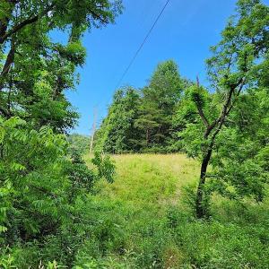 Photo #9 of SOLD property in 715 White Rock Gap Rd, Covington, VA 43.4 acres