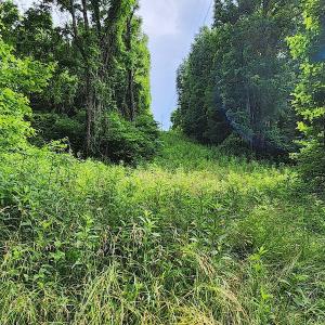 Photo #11 of SOLD property in 715 White Rock Gap Rd, Covington, VA 43.4 acres