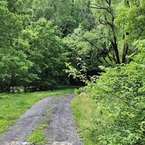 Photo #14 of SOLD property in 715 White Rock Gap Rd, Covington, VA 43.4 acres