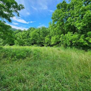 Photo #2 of SOLD property in 715 White Rock Gap Rd, Covington, VA 43.4 acres
