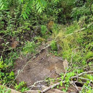Photo #4 of SOLD property in 715 White Rock Gap Rd, Covington, VA 43.4 acres