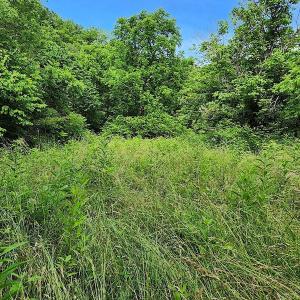 Photo #6 of SOLD property in 715 White Rock Gap Rd, Covington, VA 43.4 acres