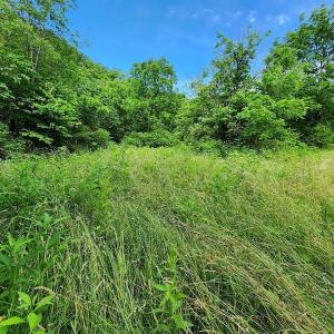 Photo #8 of SOLD property in 715 White Rock Gap Rd, Covington, VA 43.4 acres
