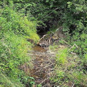 Photo #15 of SOLD property in 715 White Rock Gap Rd, Covington, VA 43.4 acres