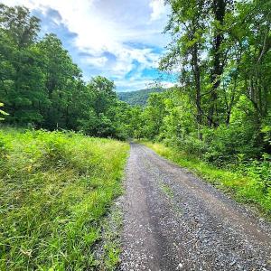 Photo #16 of SOLD property in 715 White Rock Gap Rd, Covington, VA 43.4 acres