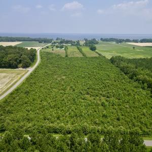 Photo #2 of SOLD property in Off Holly Neck Rd, Roper, NC 23.1 acres