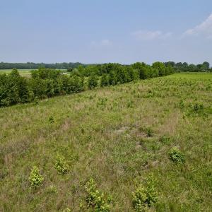 Photo #11 of SOLD property in Off Holly Neck Rd, Roper, NC 23.1 acres